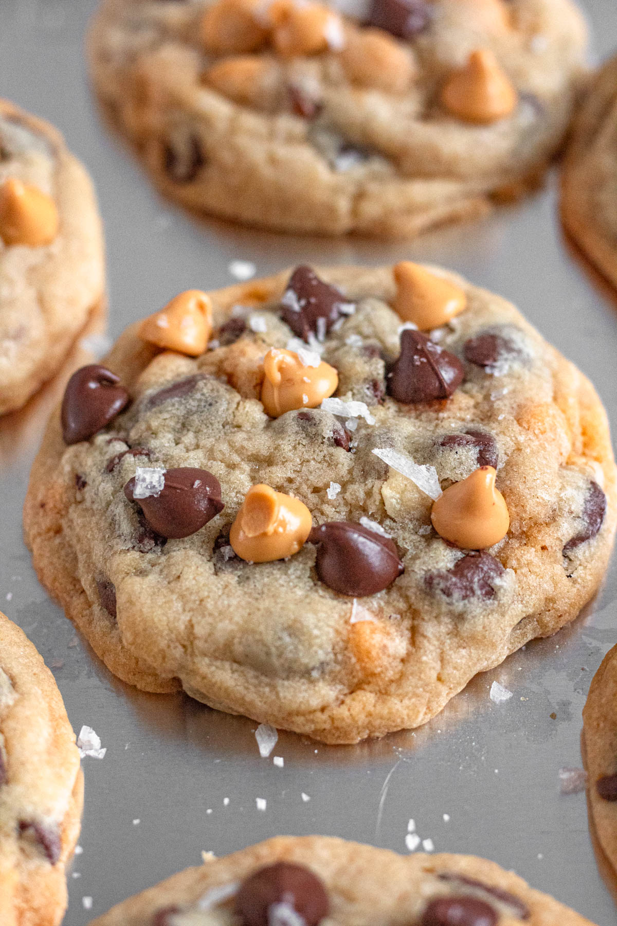 Chocolate butterscotch cookies with sea salt.