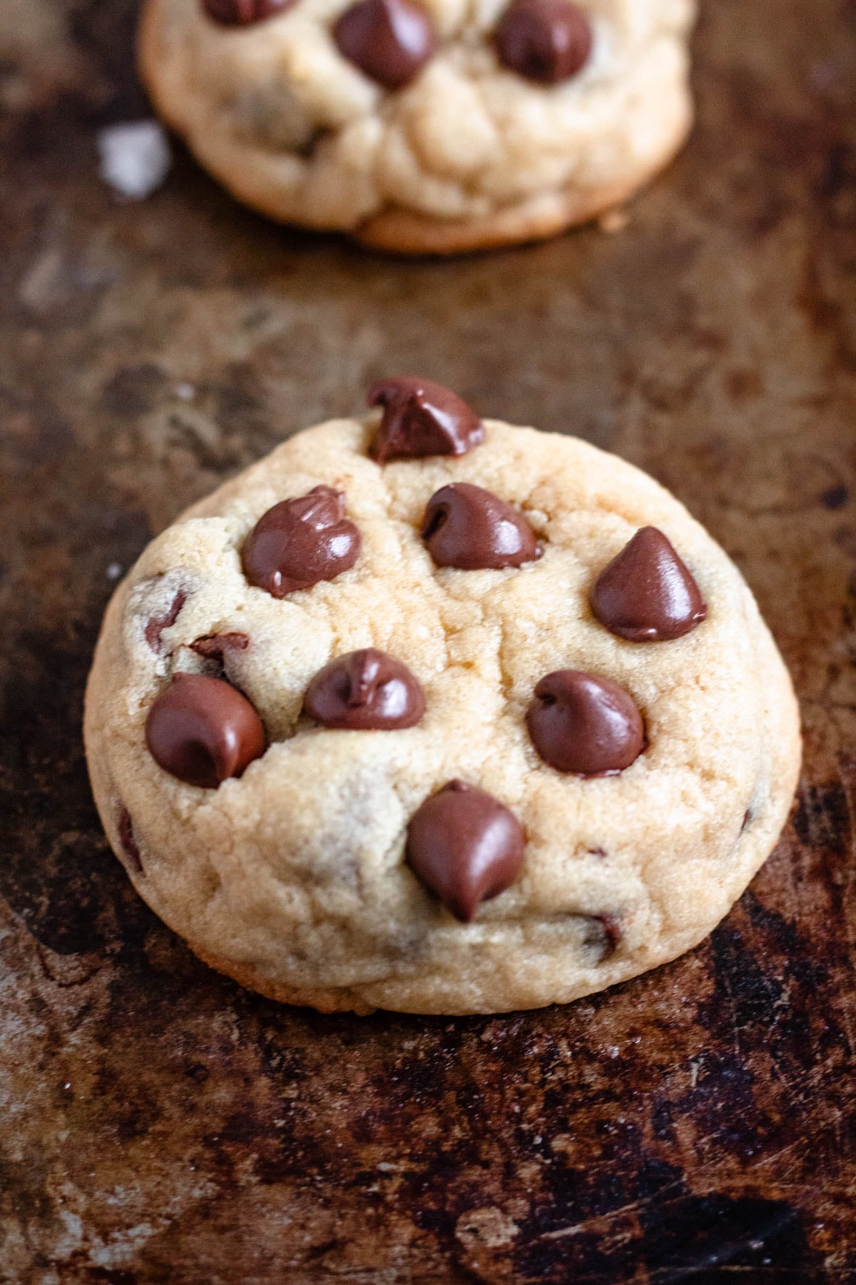 Baked chocolate chip cookie on a cookie tray 