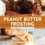 Pinterest image of a chocolate cupcake piped with Peanut Butter Cream Cheese Frosting, with a bite out of it, and a close-up shot of Peanut Butter Cream Cheese Frosting piped into a glass jar.