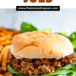 Pinterest image showing a close-up of a 3-ingredient sloppy joe sandwich served on a sesame seed bun with seasoned fries on the plate.