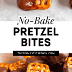 Pinterest image of a close-up of a pretzel bite freshly dipped in chocolate, and a pile of chocolate-dipped peanut butter pretzel bites.