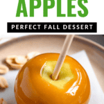 Pinterest image of top view of caramel apple on a plate surrounded by peanuts.