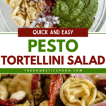 Pinterest image of an overhead shot of a bowl with tortellini, mozzarella, salami, sun-dried tomatoes, and pesto sauce, and a close-up shot of the Pesto Tortellini Pasta Salad.