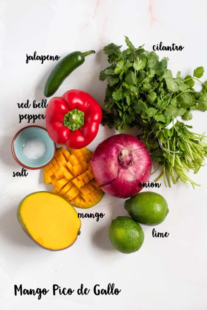 Ingredient shot of ingredients to make Mango Pico de Gallo.
