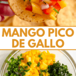 Pinterest image of a hand holding a tortilla chip with scooped Mango Pico de Gallo, and the chopped ingredients inside a bowl.