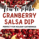 Pinterest image of cranberry salsa on a plate and a hand scooping cranberry salsa with a cracker.