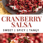 Pinterest image of cranberry salsa on a plate and a hand holding a cracker with scooped cranberry salsa.
