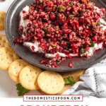 Pinterest image of cranberry salsa on a plate surronded by crackers and cranberries.