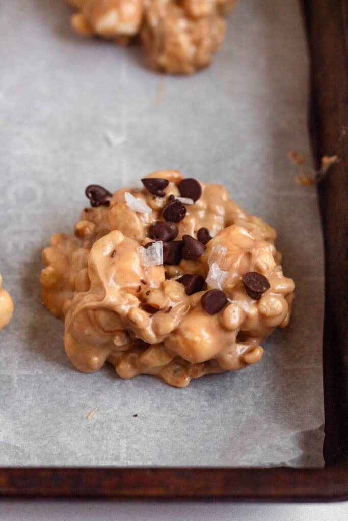 Close-up image of Avalanche cookies topped with chocolate chips and flaky sea salt.